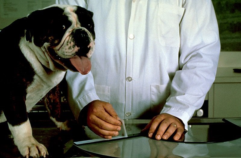 3M™ adatvédelmi szűrő 24"-es szélesvásznú monitorhoz (16:10) (PF240W1B)