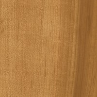 3M™ DI-NOC™ Architectural Finish DW-1873MT Dry Wood (1.22 m x 50 m)