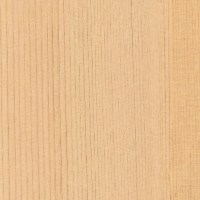 3M™ DI-NOC™ Architectural Finish FW-1981 Fine Wood (1.22 m x 50 m)