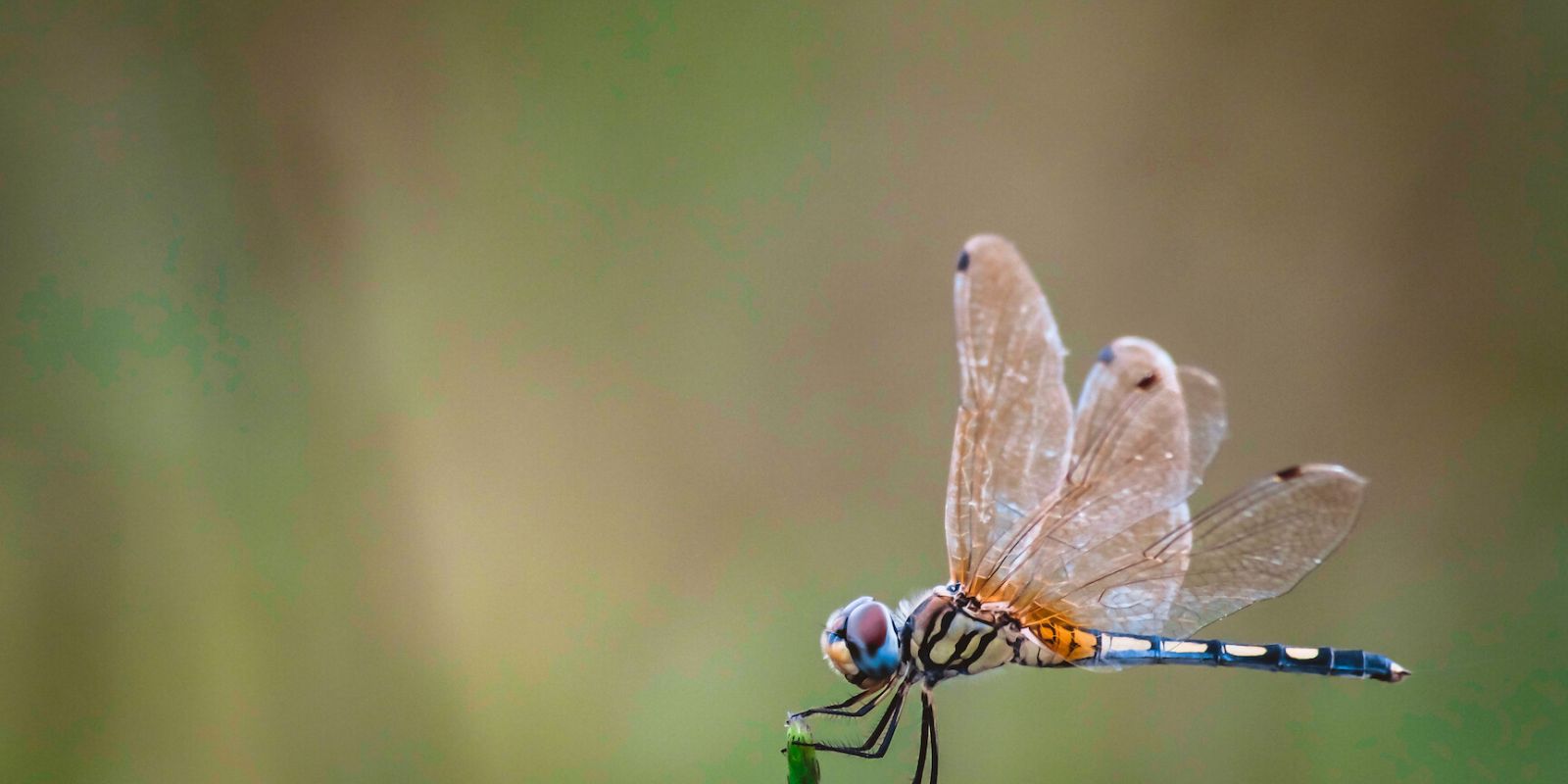 3M Dual Lock ipari tépőzár