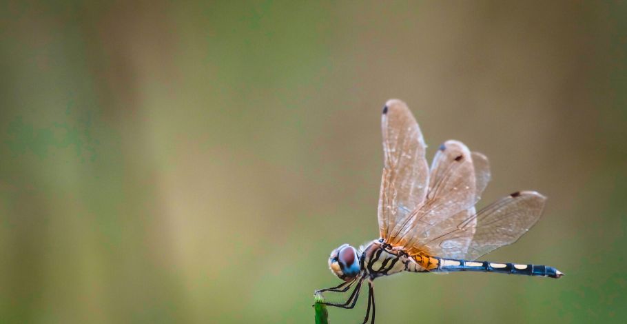 3M Dual Lock ipari tépőzár